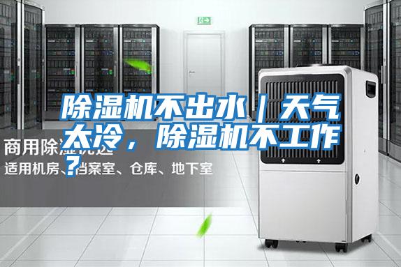 除濕機不出水｜天氣太冷，除濕機不工作？