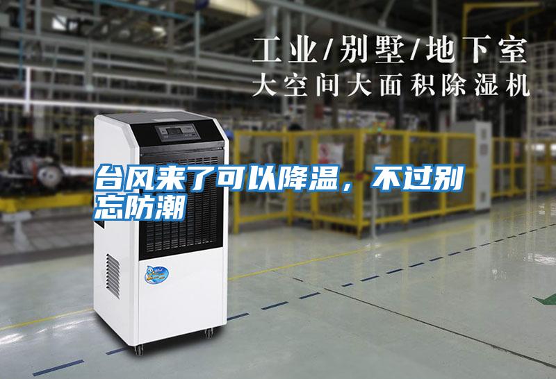 臺風來了可以降溫，不過別忘防潮