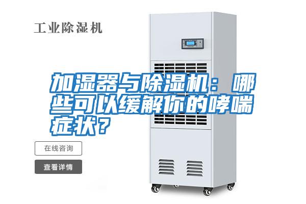 加濕器與除濕機：哪些可以緩解你的哮喘癥狀？