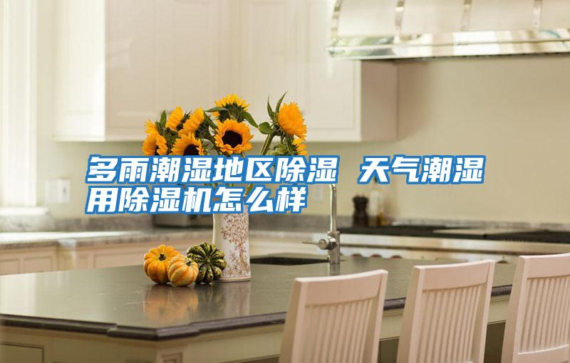 多雨潮濕地區除濕 天氣潮濕用除濕機怎么樣