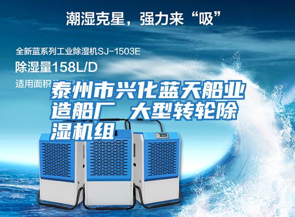 泰州市興化藍(lán)天船業(yè)造船廠 大型轉(zhuǎn)輪除濕機組