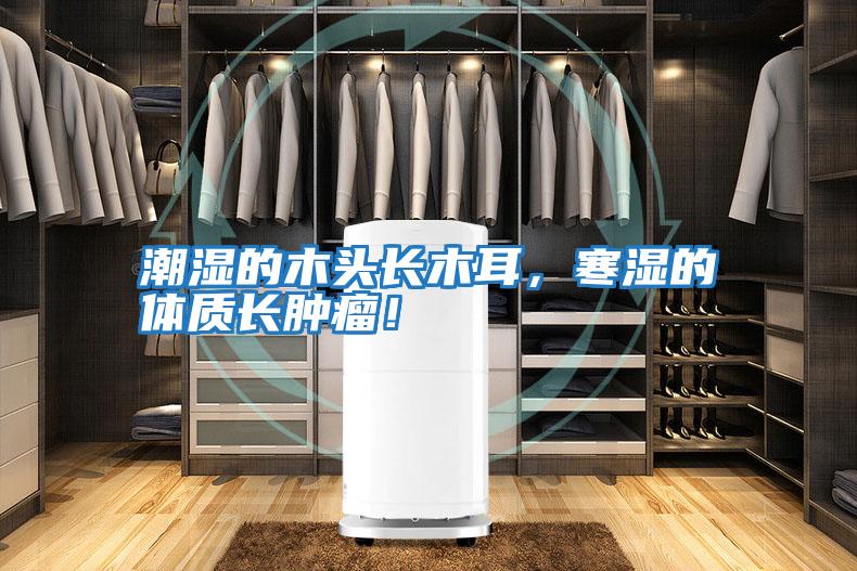 潮濕的木頭長木耳，寒濕的體質長腫瘤！