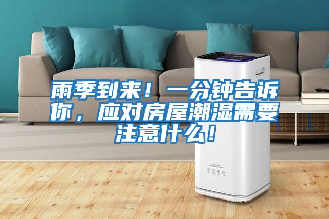 雨季到來！一分鐘告訴你，應對房屋潮濕需要注意什么！