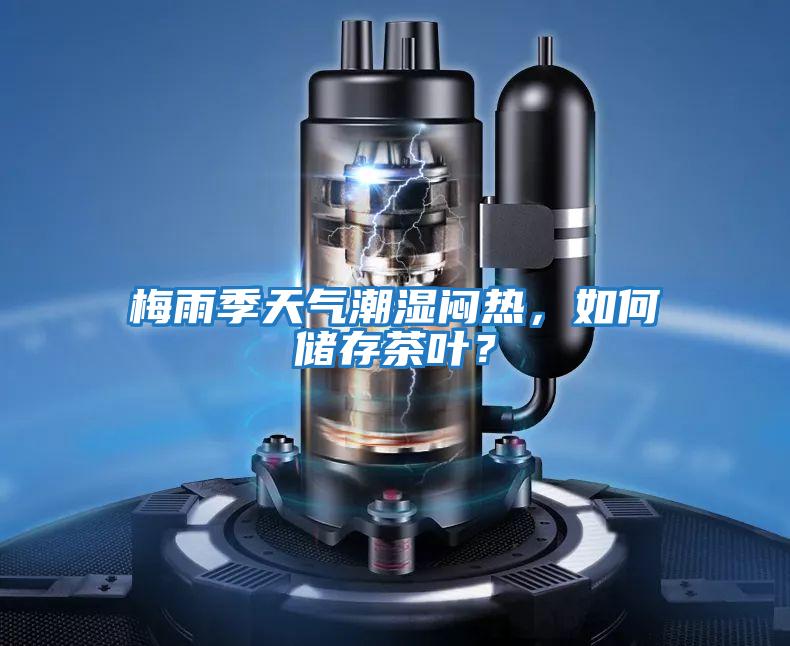 梅雨季天氣潮濕悶熱，如何儲存茶葉？
