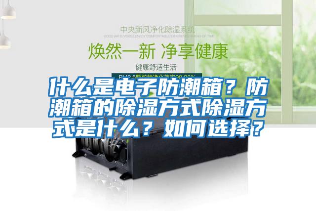 什么是電子防潮箱？防潮箱的除濕方式除濕方式是什么？如何選擇？