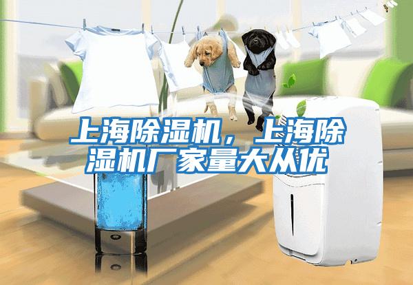 上海除濕機，上海除濕機廠家量大從優(yōu)