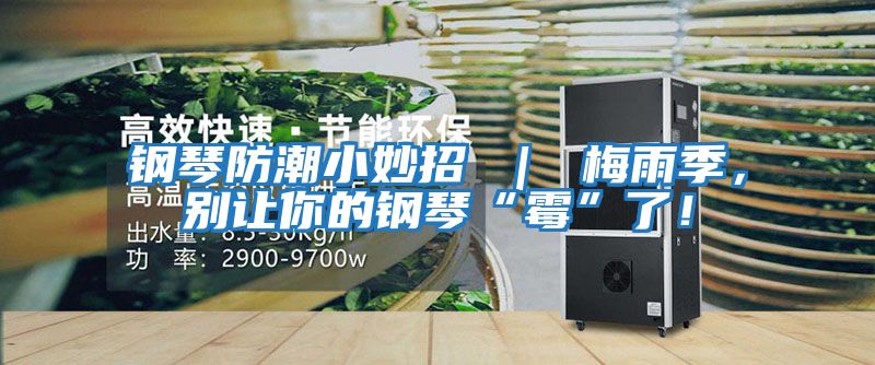 鋼琴防潮小妙招 ｜ 梅雨季，別讓你的鋼琴“霉”了！