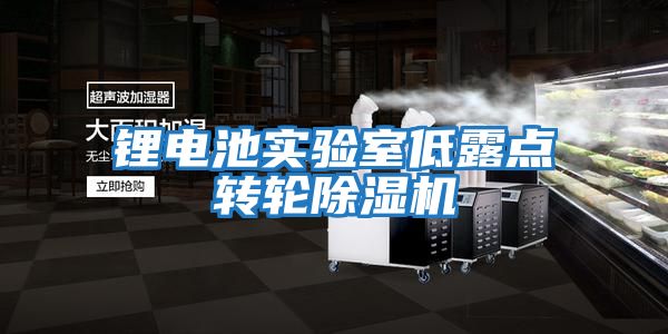 鋰電池實驗室低露點轉輪除濕機