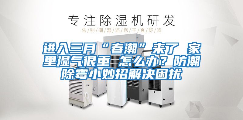 進(jìn)入三月“春潮”來(lái)了 家里濕氣很重 怎么辦？防潮除霉小妙招解決困擾
