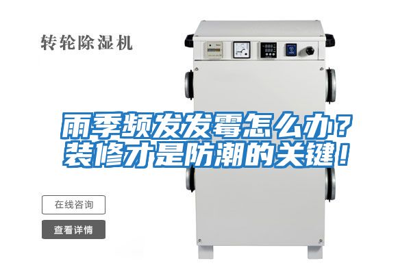 雨季頻發發霉怎么辦？裝修才是防潮的關鍵！