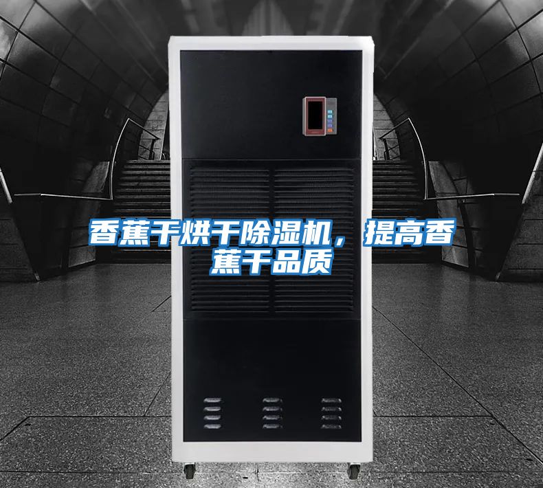 香蕉干烘干除濕機，提高香蕉干品質