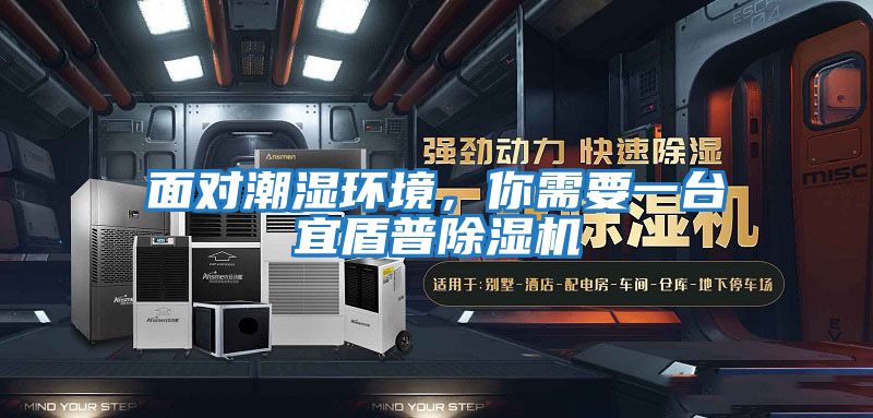 面對潮濕環境，你需要一臺宜盾普除濕機