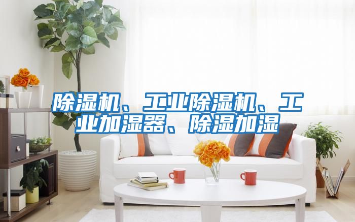 除濕機、工業(yè)除濕機、工業(yè)加濕器、除濕加濕