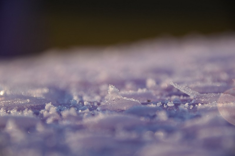 你知道除濕機為什么需要自動化霜嗎？ 冷凍式除濕機化霜功能