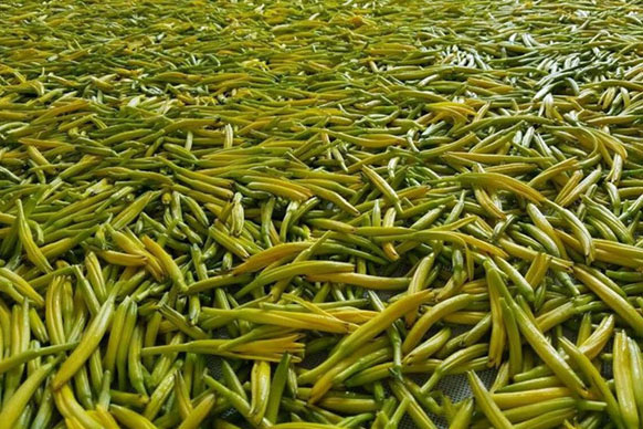 無硫金針菜烘干如何保持品相？不發黑？_除濕機廠家